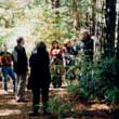 Walter Burley Griffin Society Inc. tour of Canberra 1998 led by Professor James Weirick in the Western Red Cedar forest planted by Walter Burley Griffin