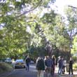 Guided tour of the Griffin Conservation Area, Castlecrag, 2004